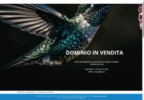 Badando.it - Marketplace di ricerca colf e badanti