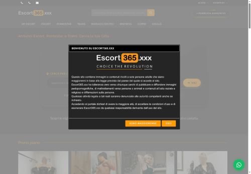 Annuncio di Vendita: Asset Digitale Consolidato (Nicchia Adult)